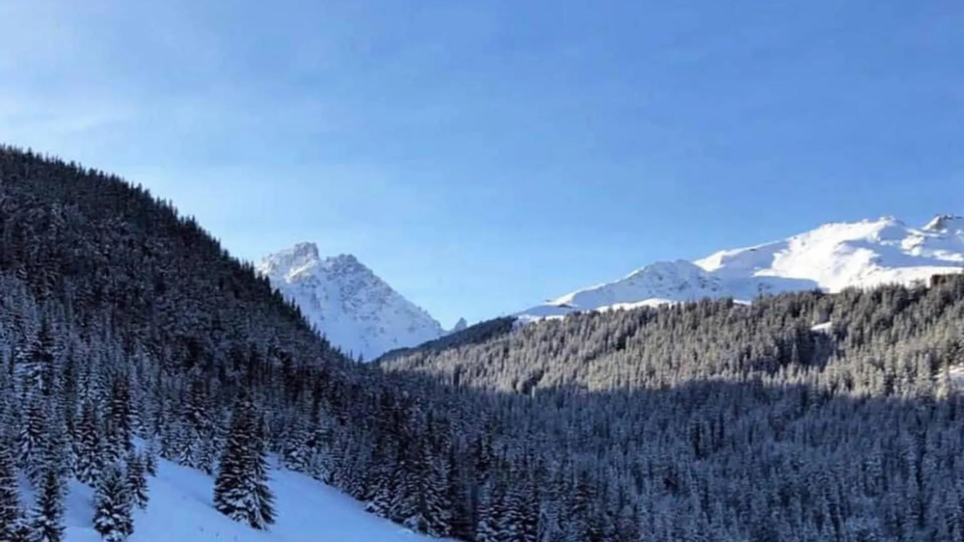Appartement Skis Aux Pieds, 3 Chambres, Renove, Idealement Situe Pres Des Commerces A Courchevel 1650 - Fr-1-514-61 Apartament